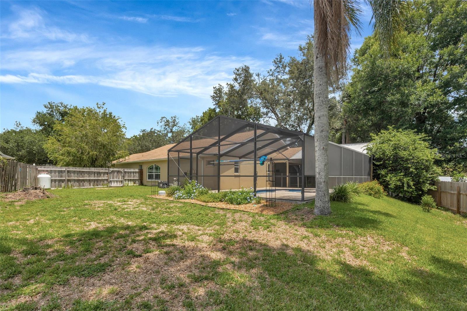 Rear and Side Yard