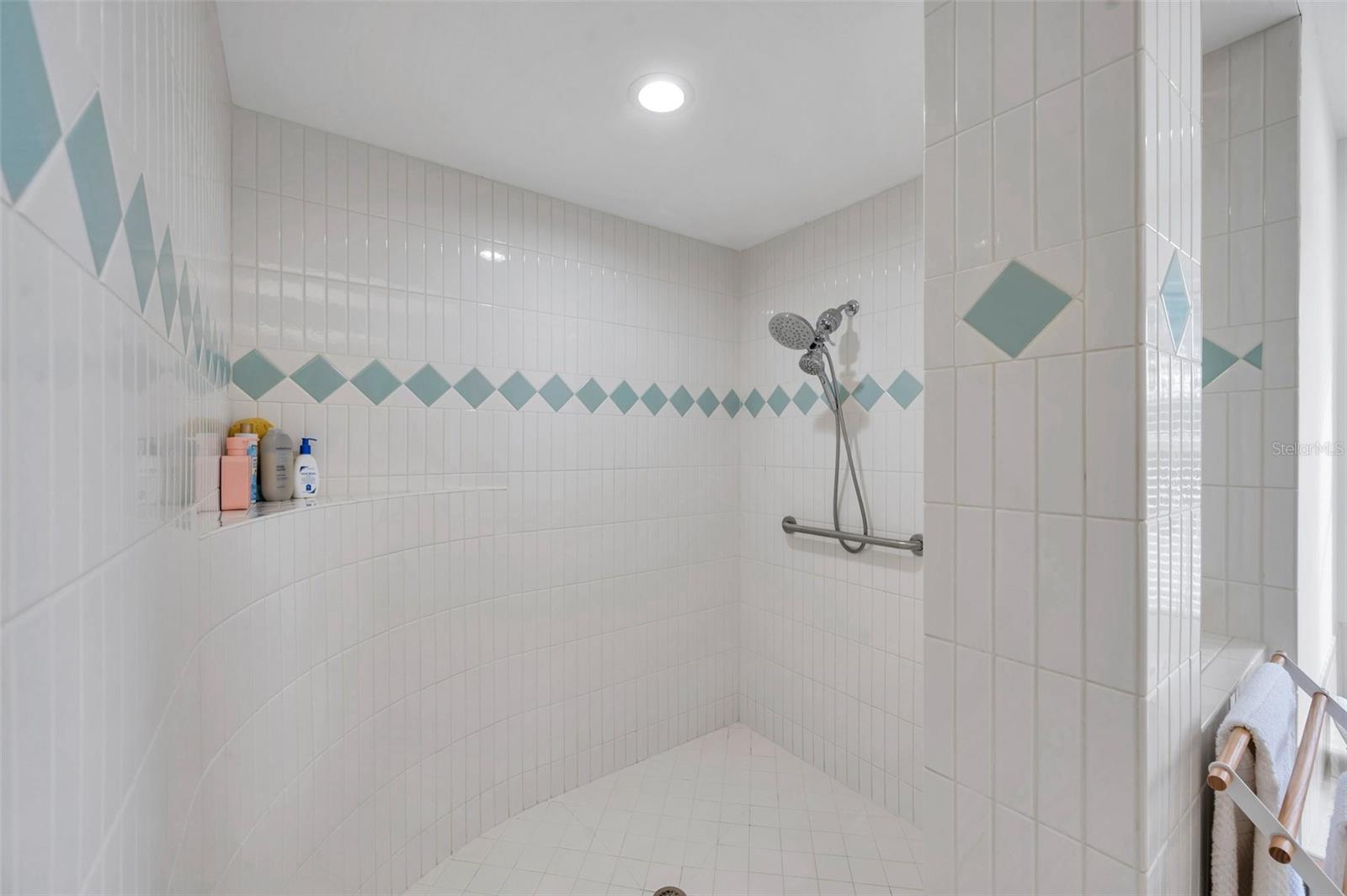 master bath spacious shower