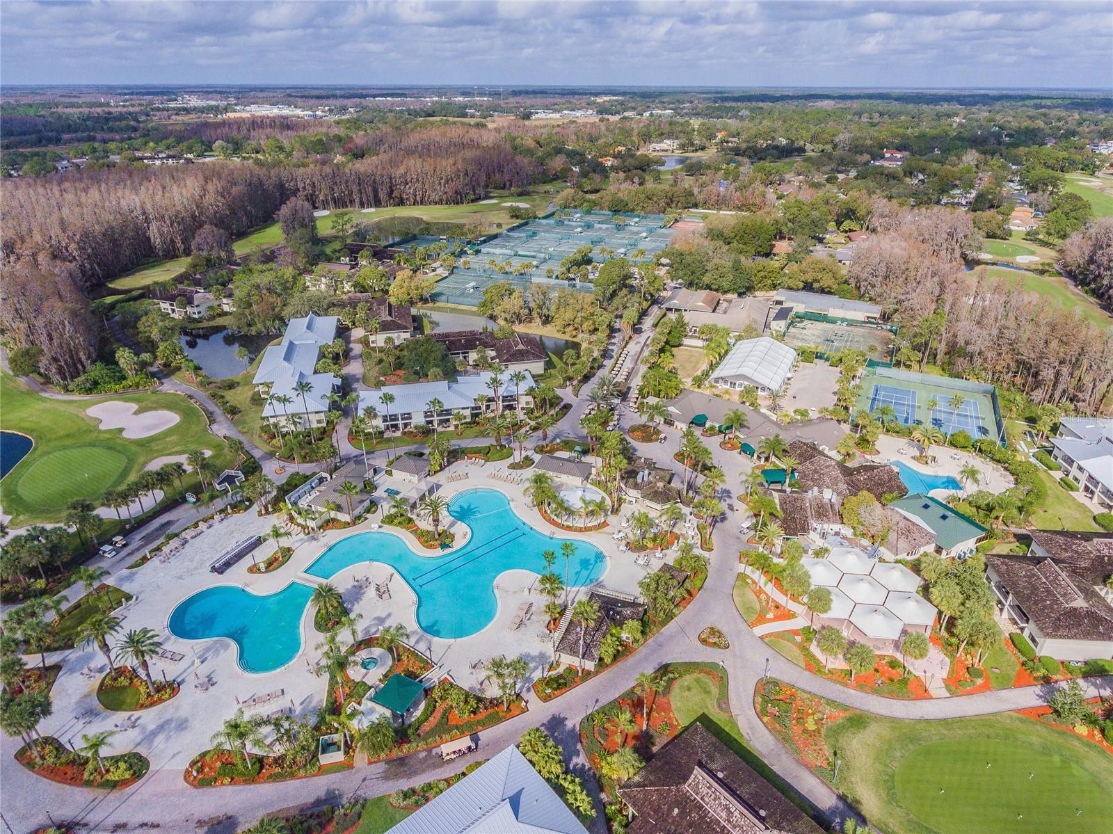 saddlebrook resort pool