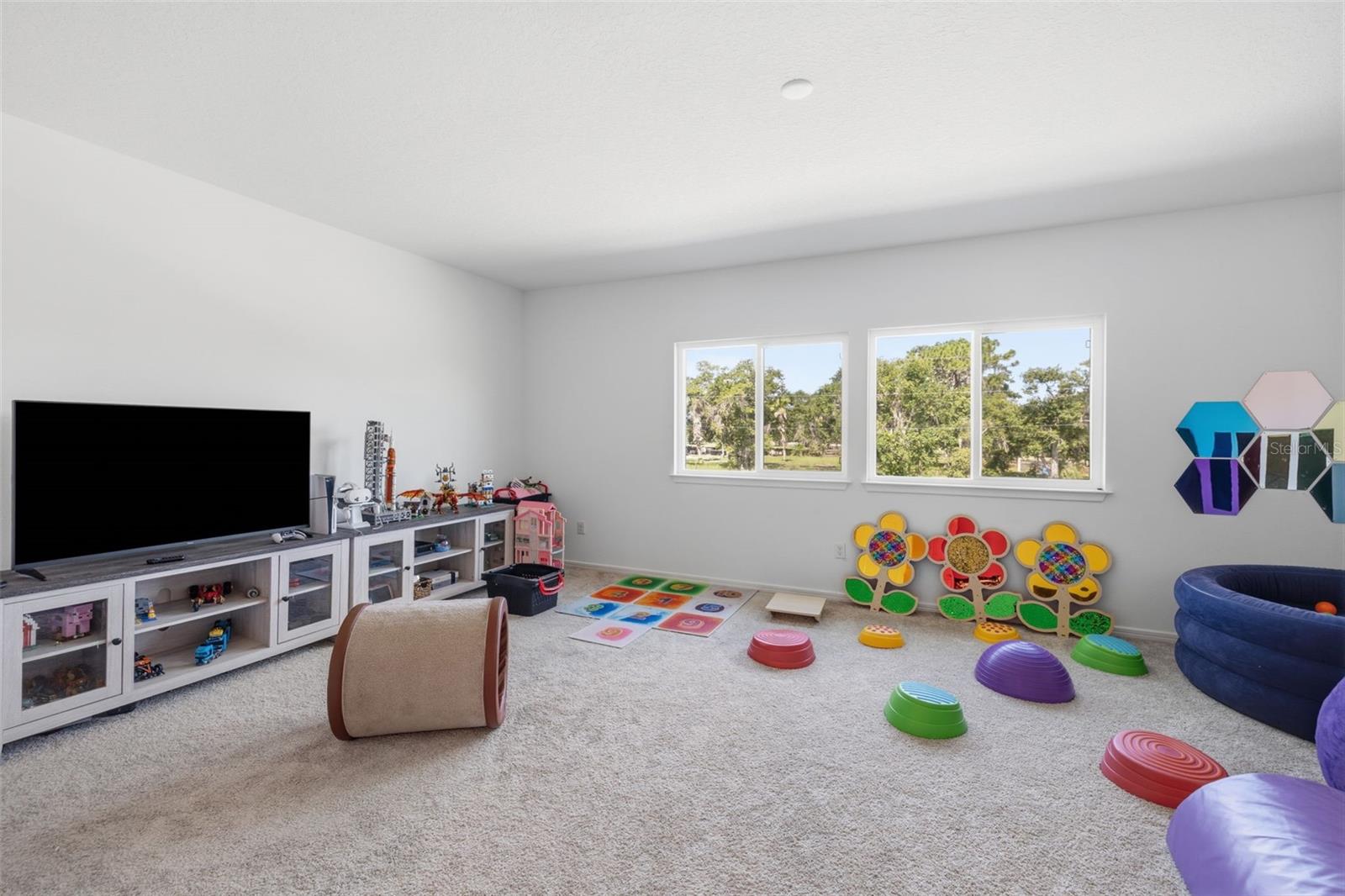 Bonus Room (23x16)