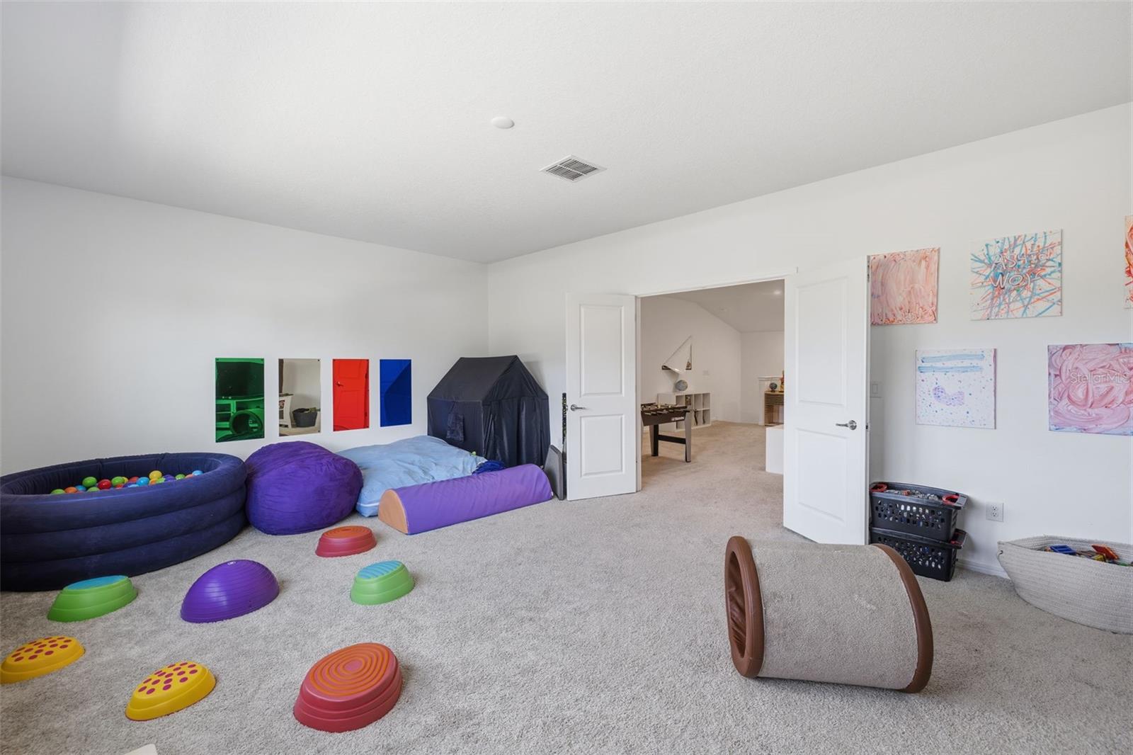 Bonus Room (23x16)