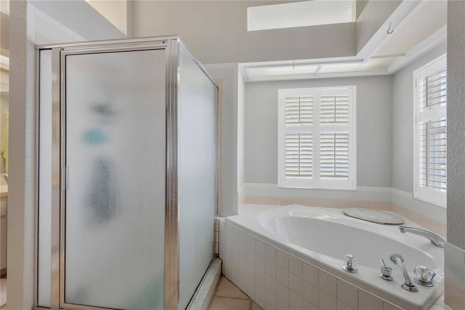 Seperate Shower/Soaking Tub