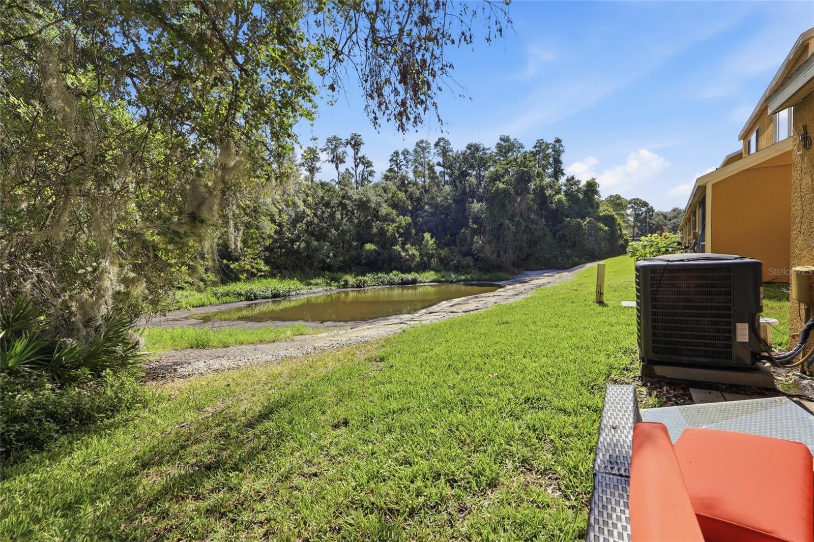 Pond view