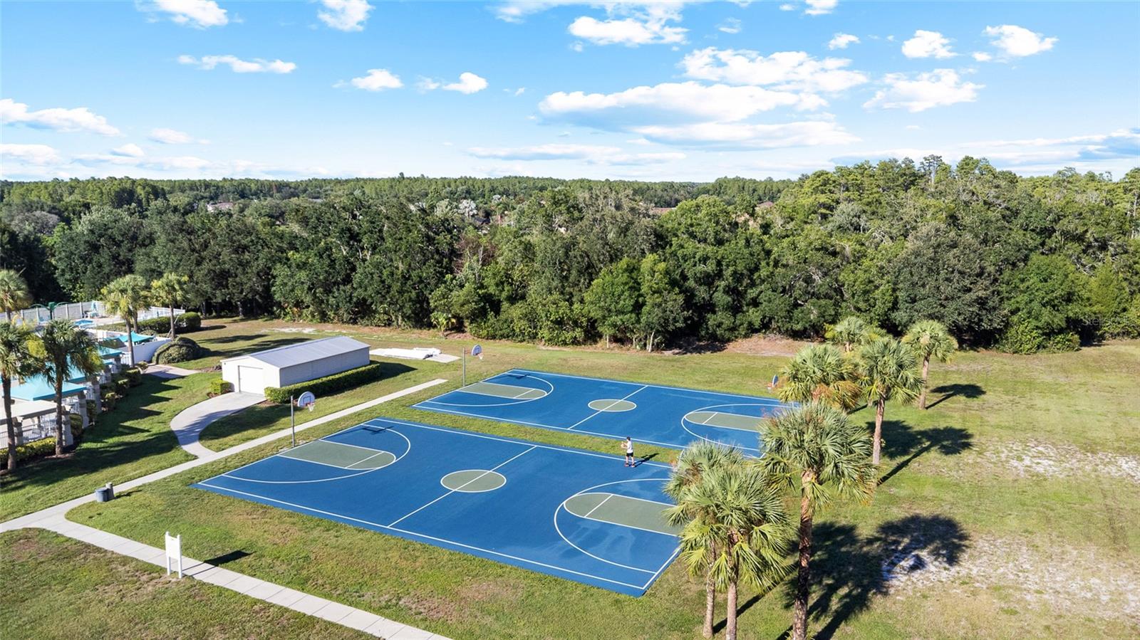 Basketball Court