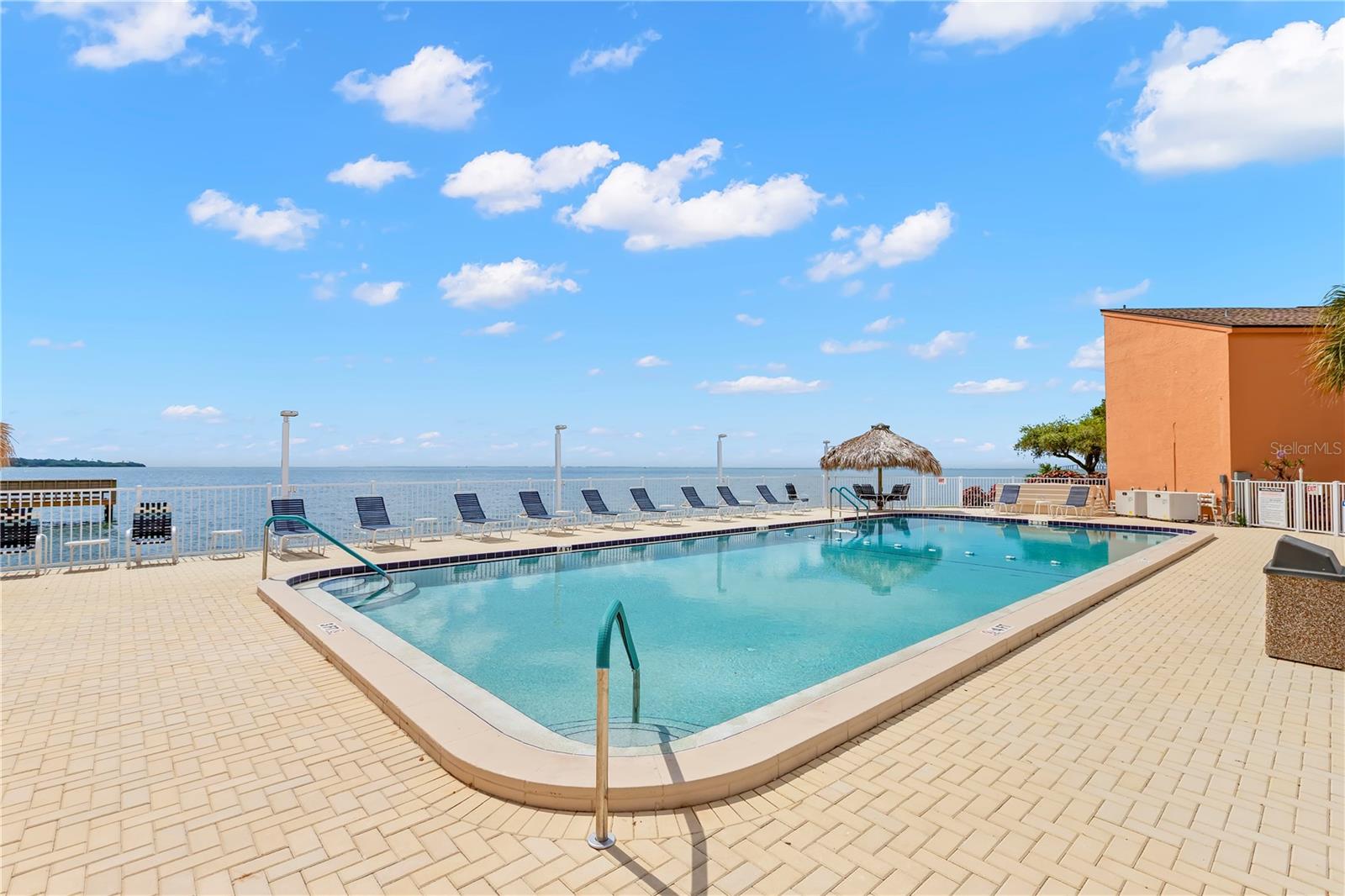 Pool overlooks Tampa bay with access to the NEW dock.