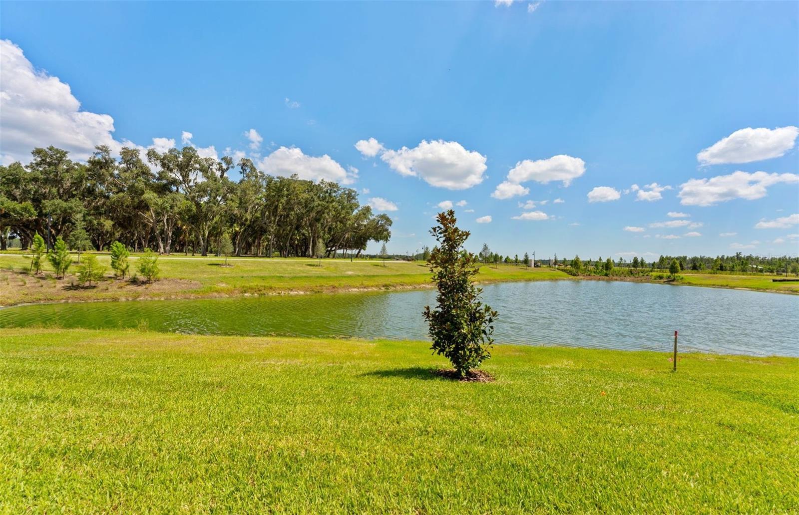 Lakeview Homesite