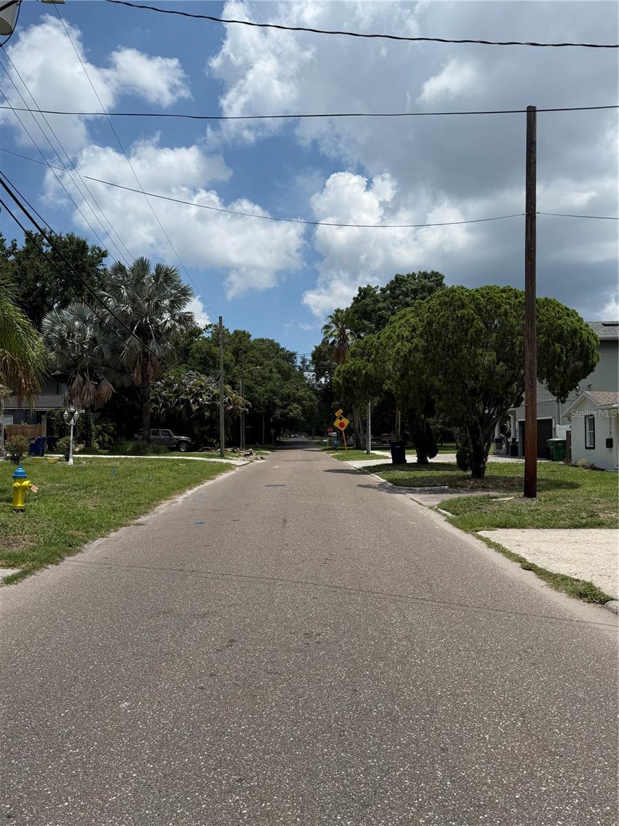 Peaceful, quiet street