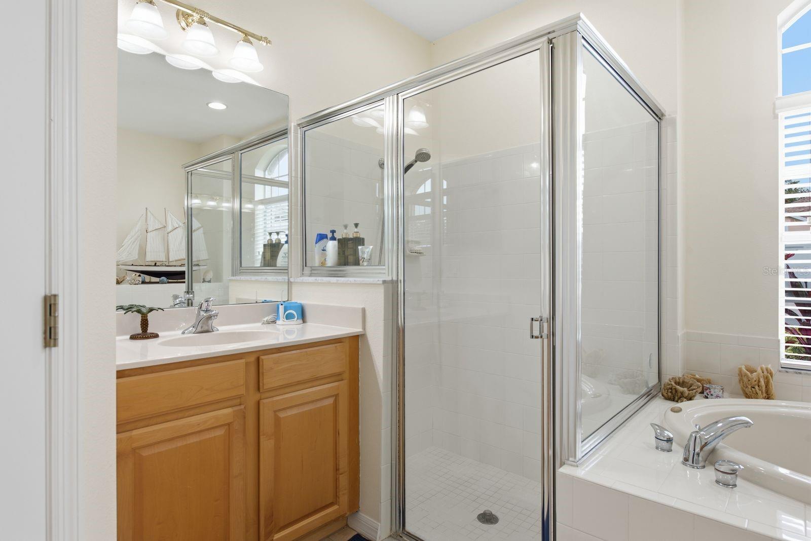 primary bathroom, shower, tub and water closet