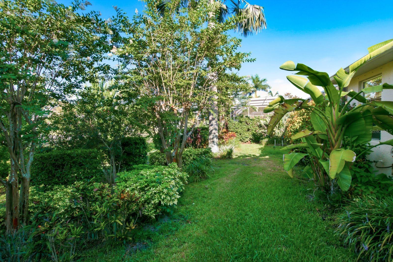 Lush landscaping