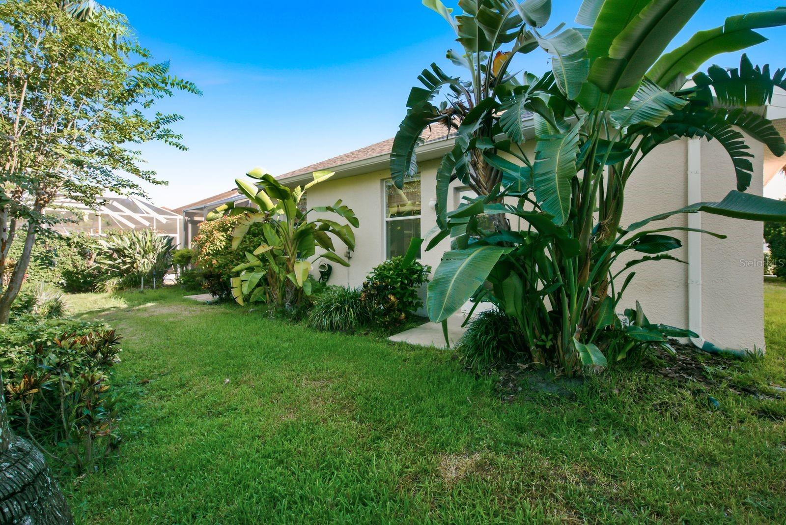 Lush landscaping