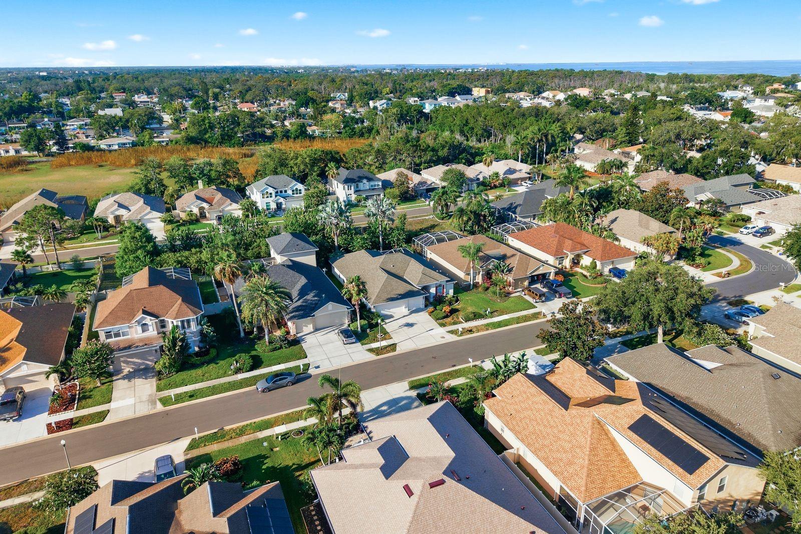 aerial