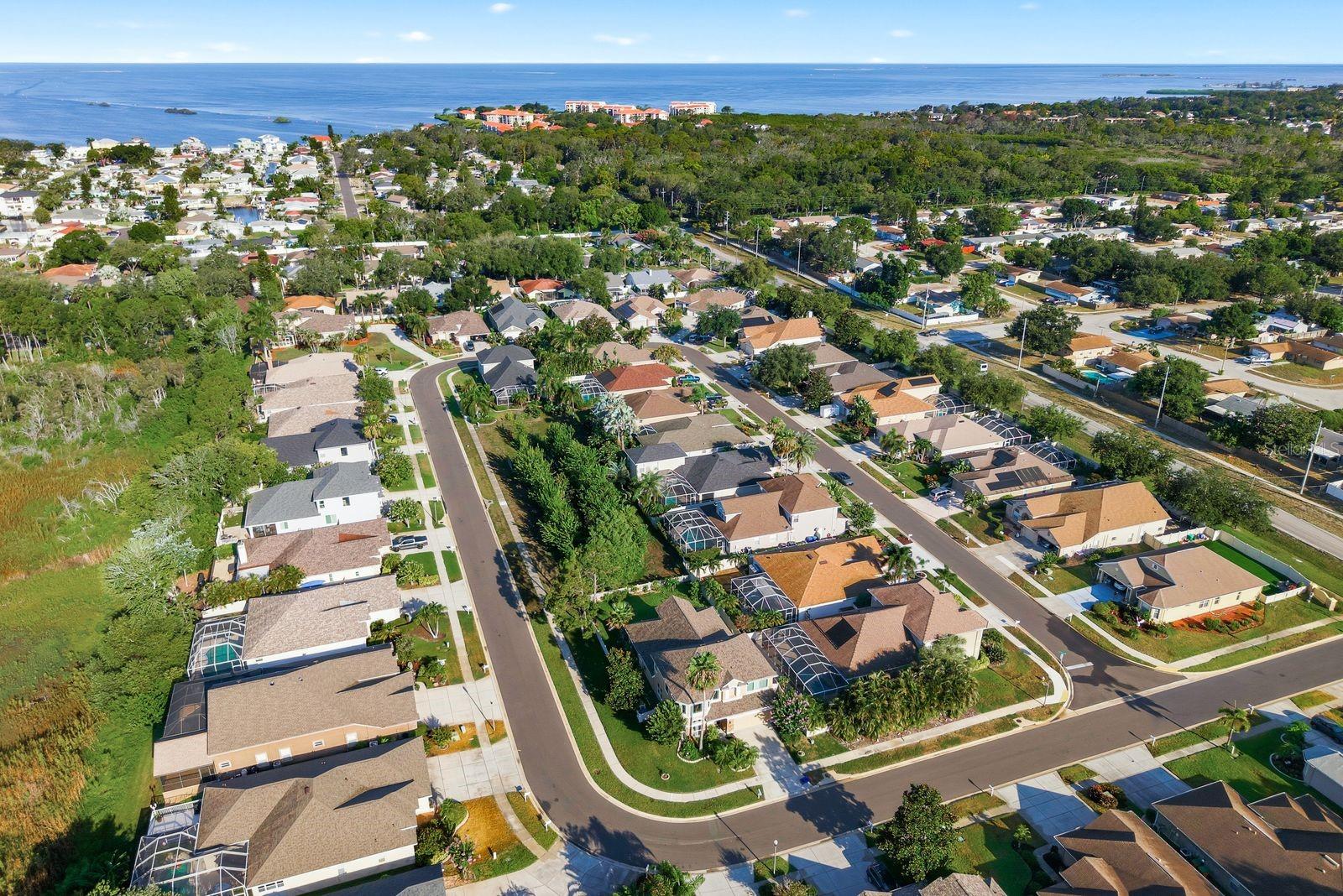aerial