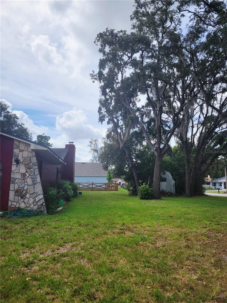 Side yard
