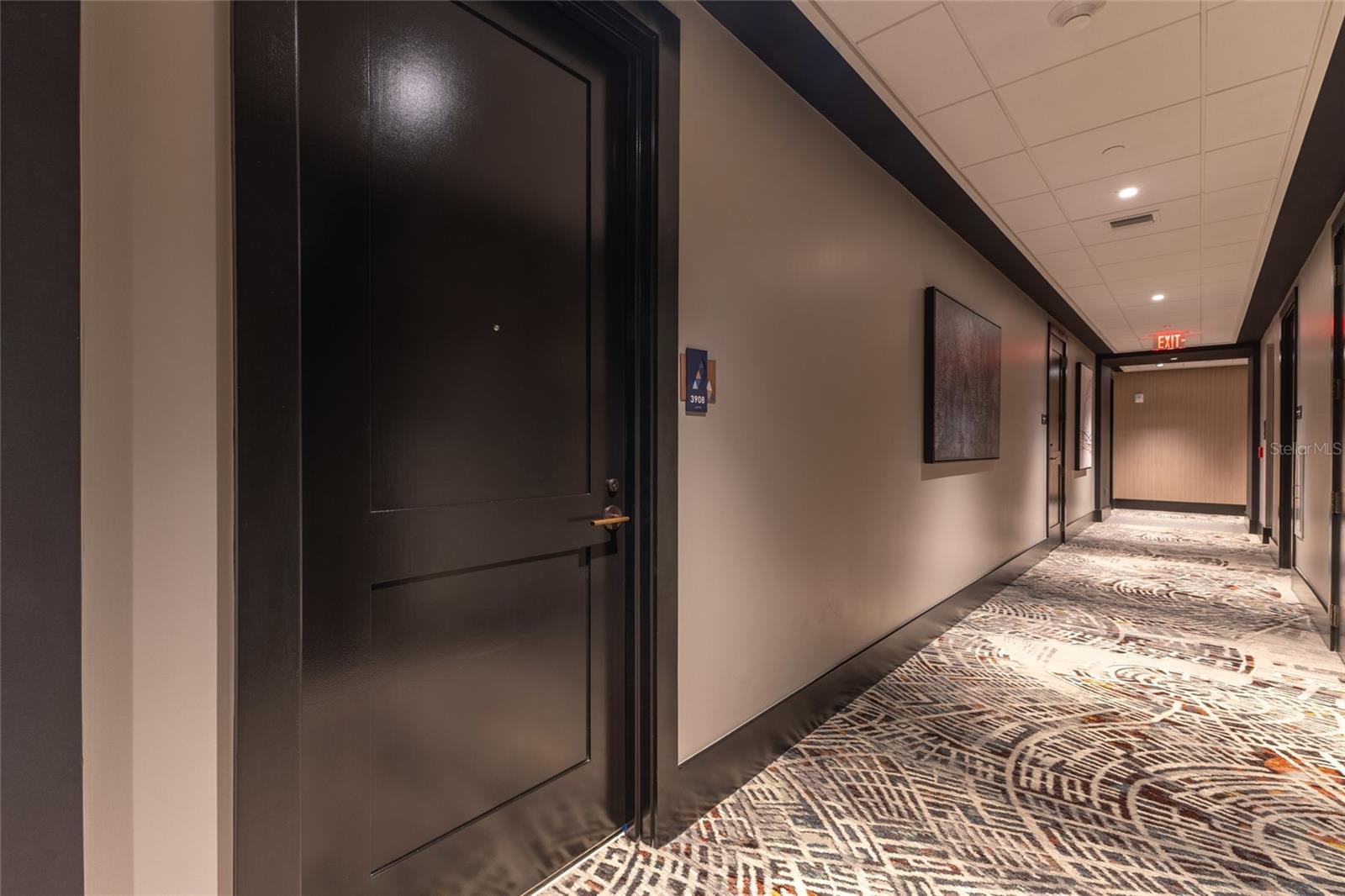 Unit Door