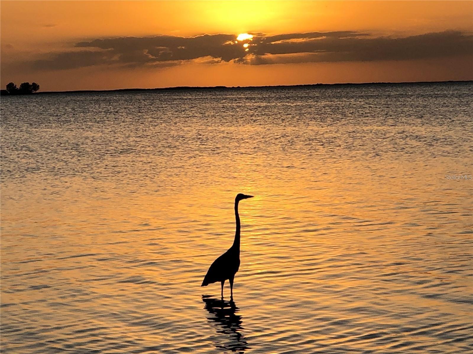 Beautiful Crystal Beach-in walking distance from the home