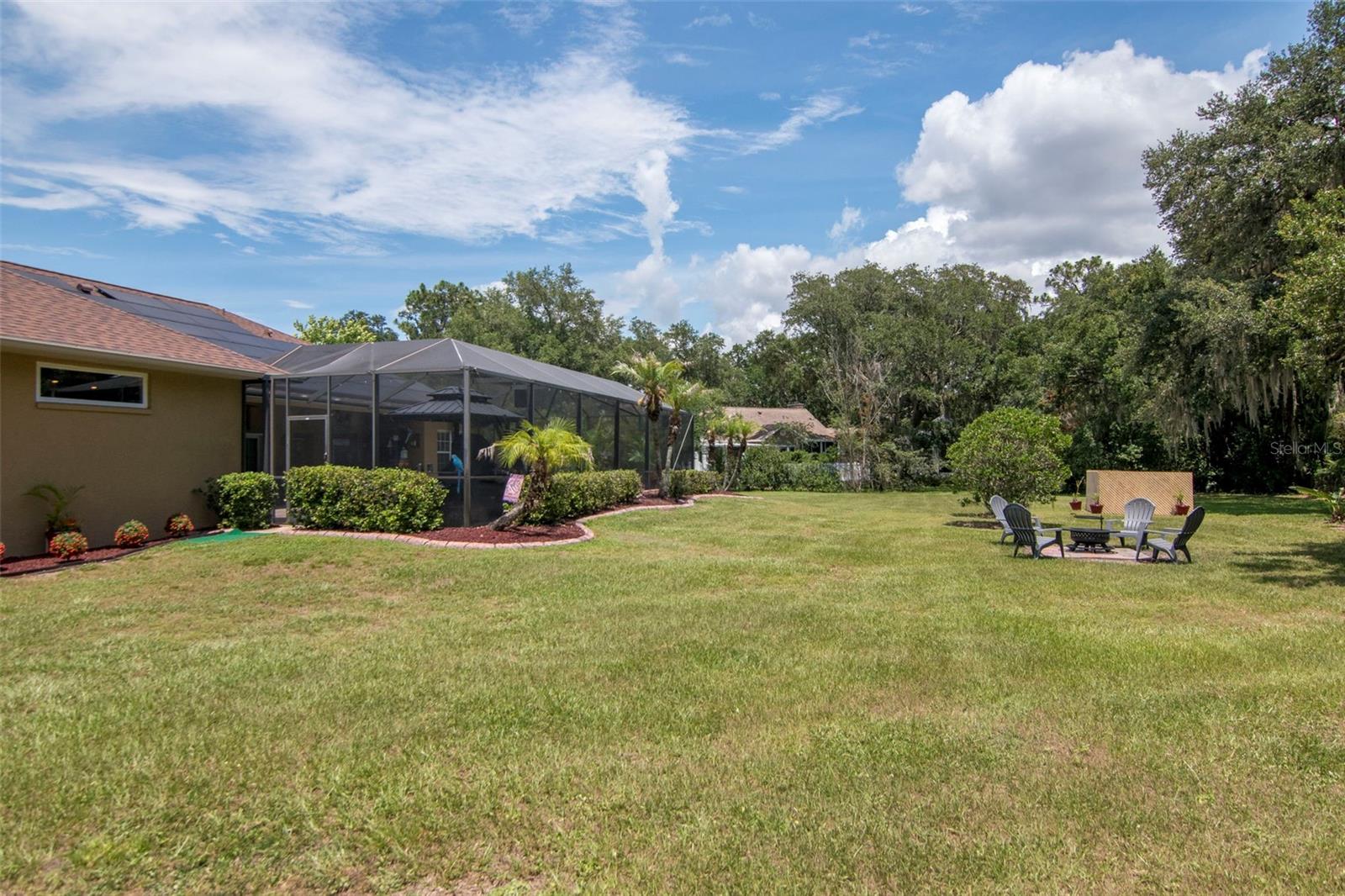 Back Yard