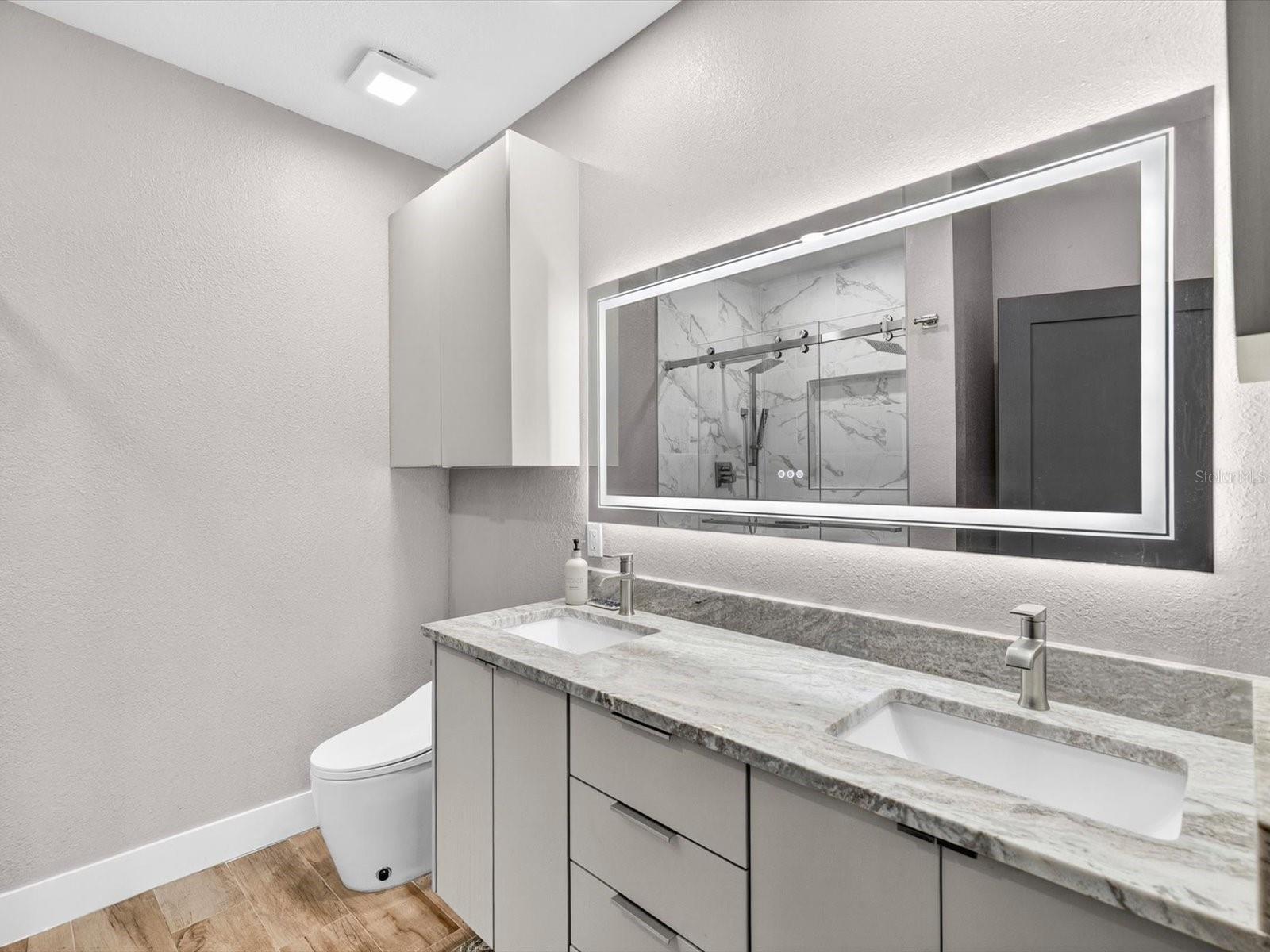 Natural Quartzite bath vanity top, + bidet toilet