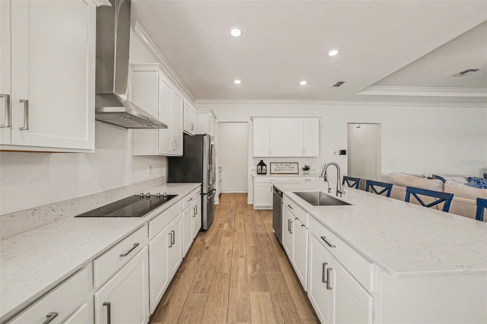 Endless quartz counters in this gourmet kitchen package!