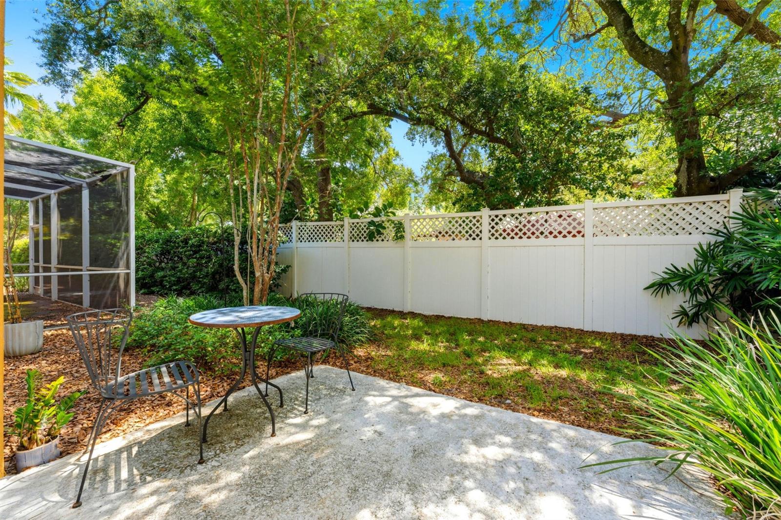 back yard