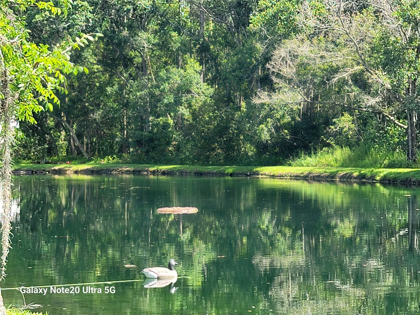 View of Serene Ponds throughout Wooded Community