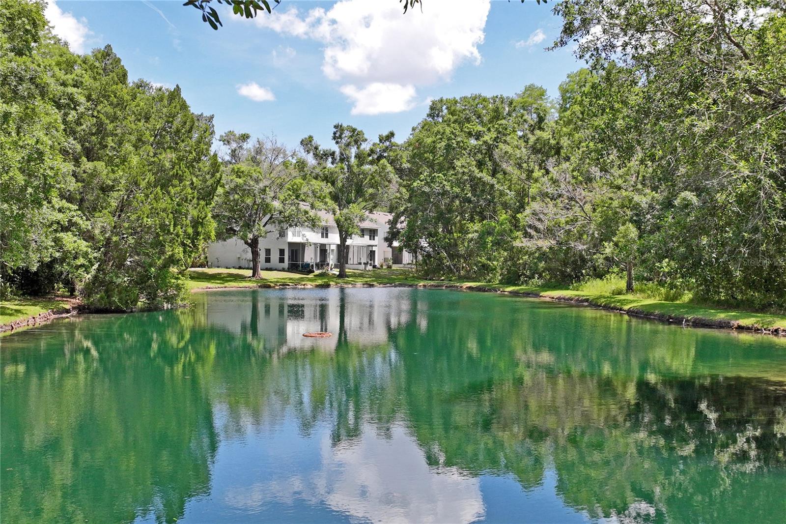 Pond View