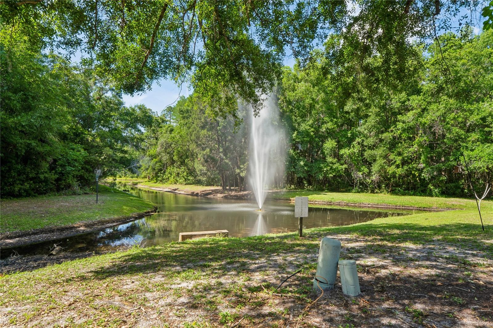 Pond view with fountain