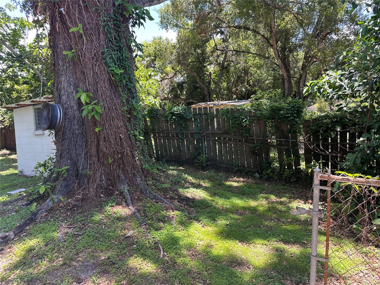 Back garden patio