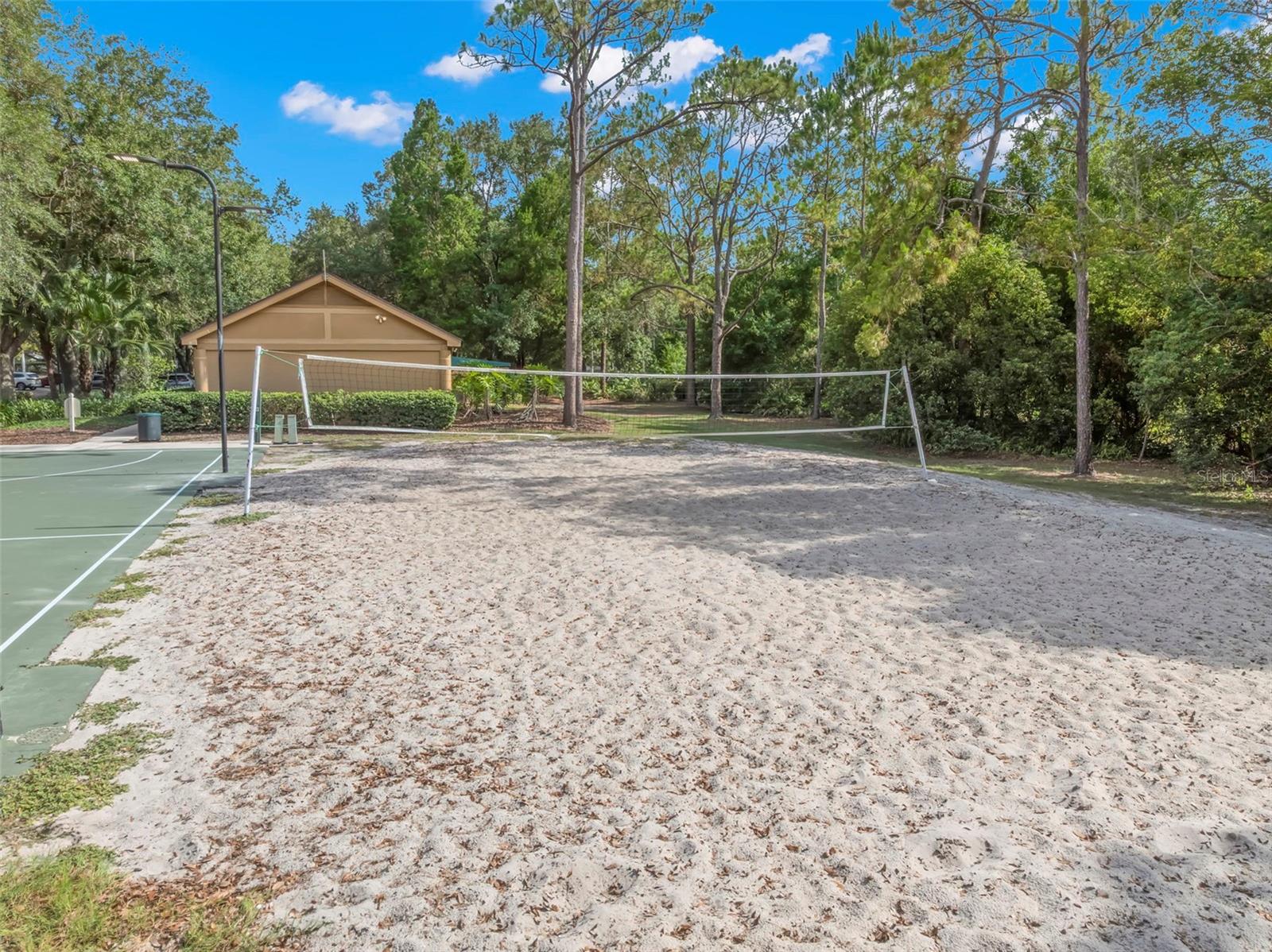 Vollyball anyone?