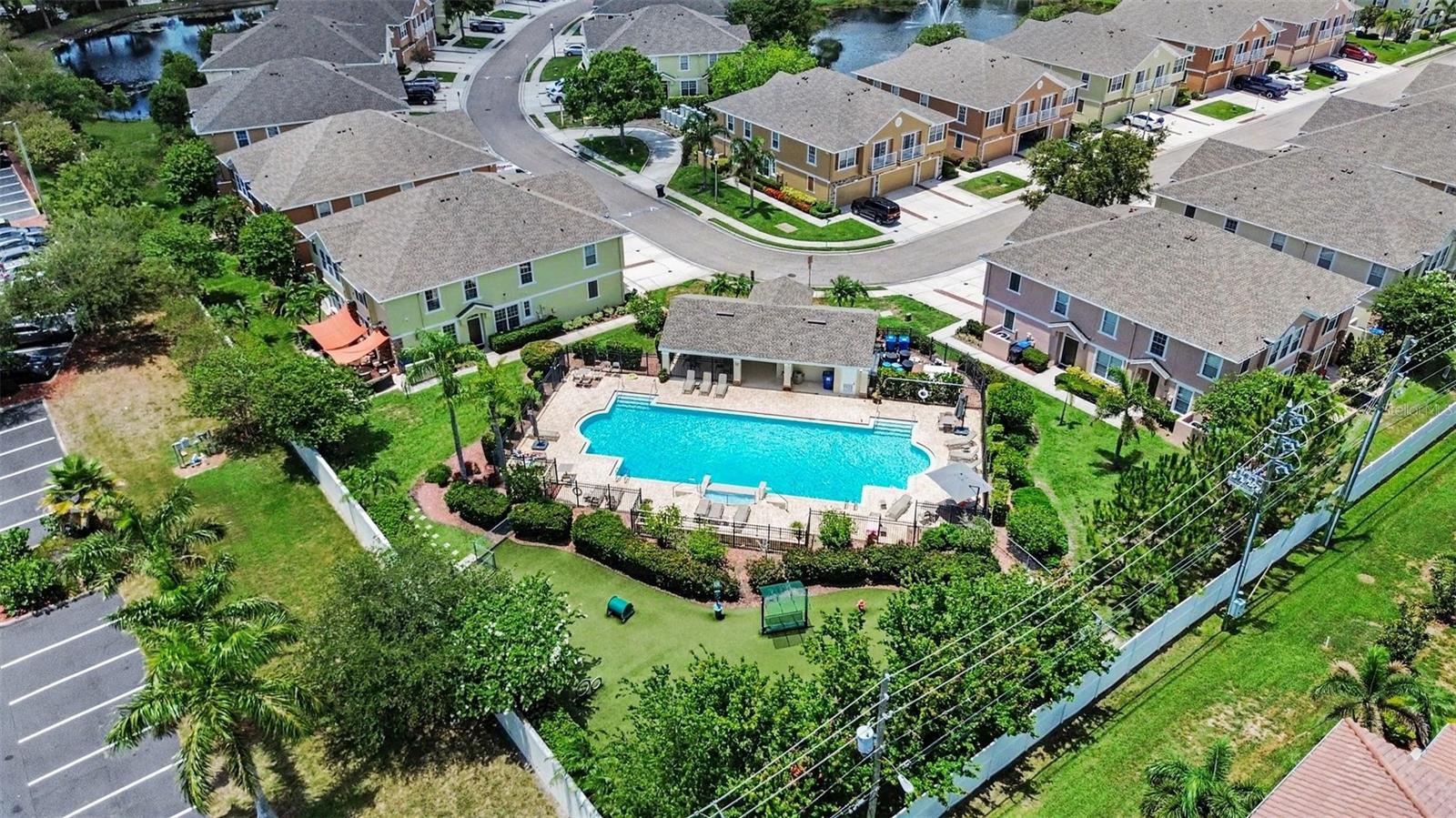Pool and dog park view