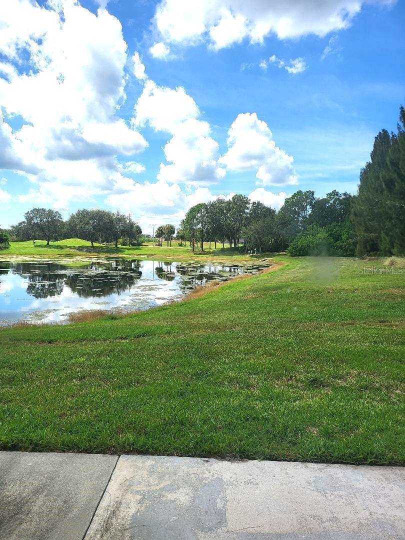 pond view