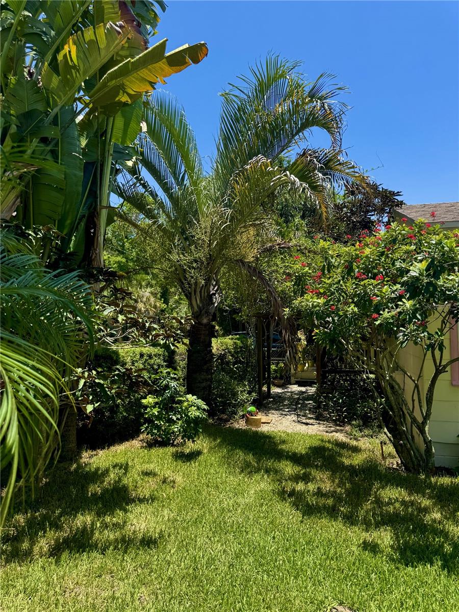 Side yard