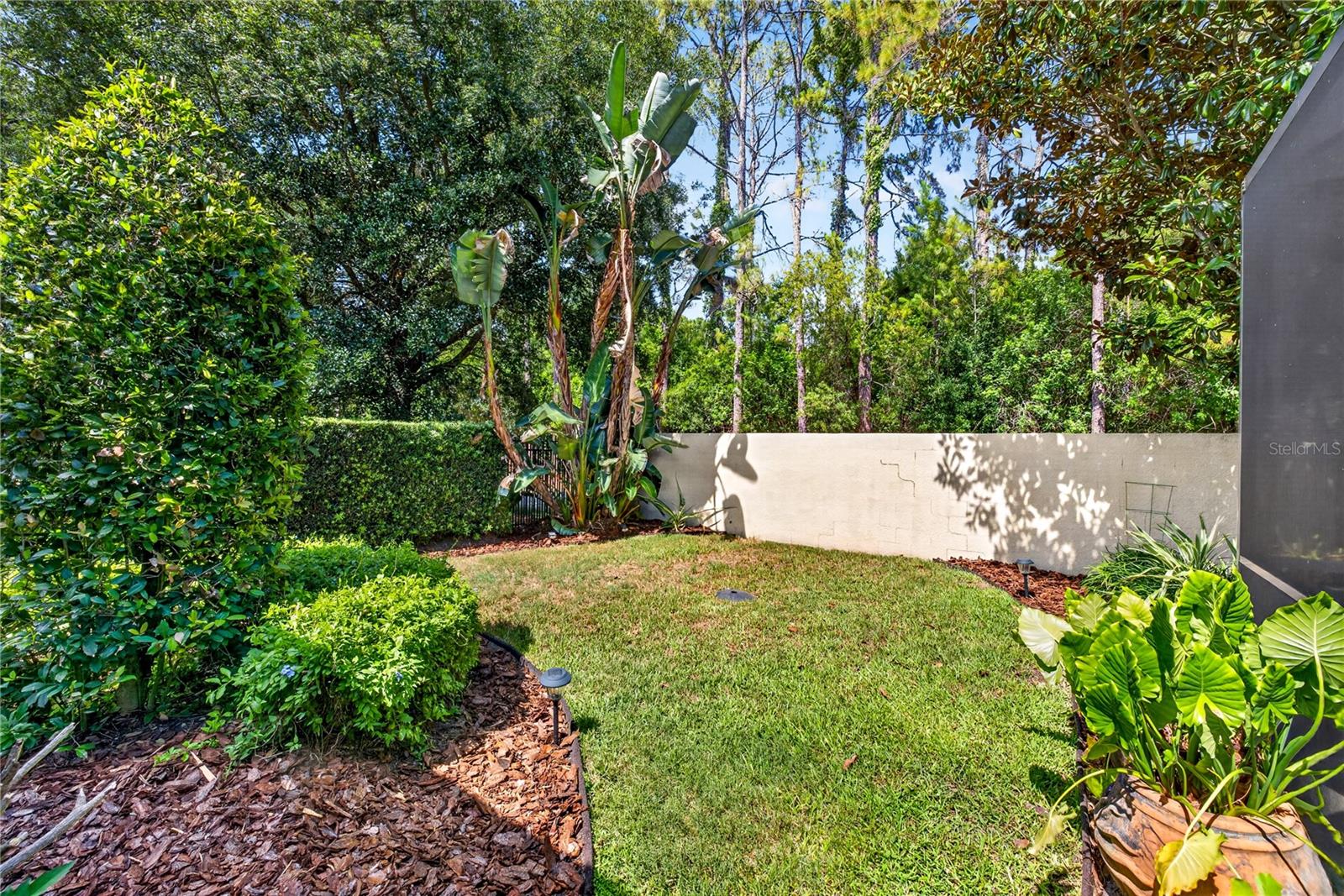Private backyard