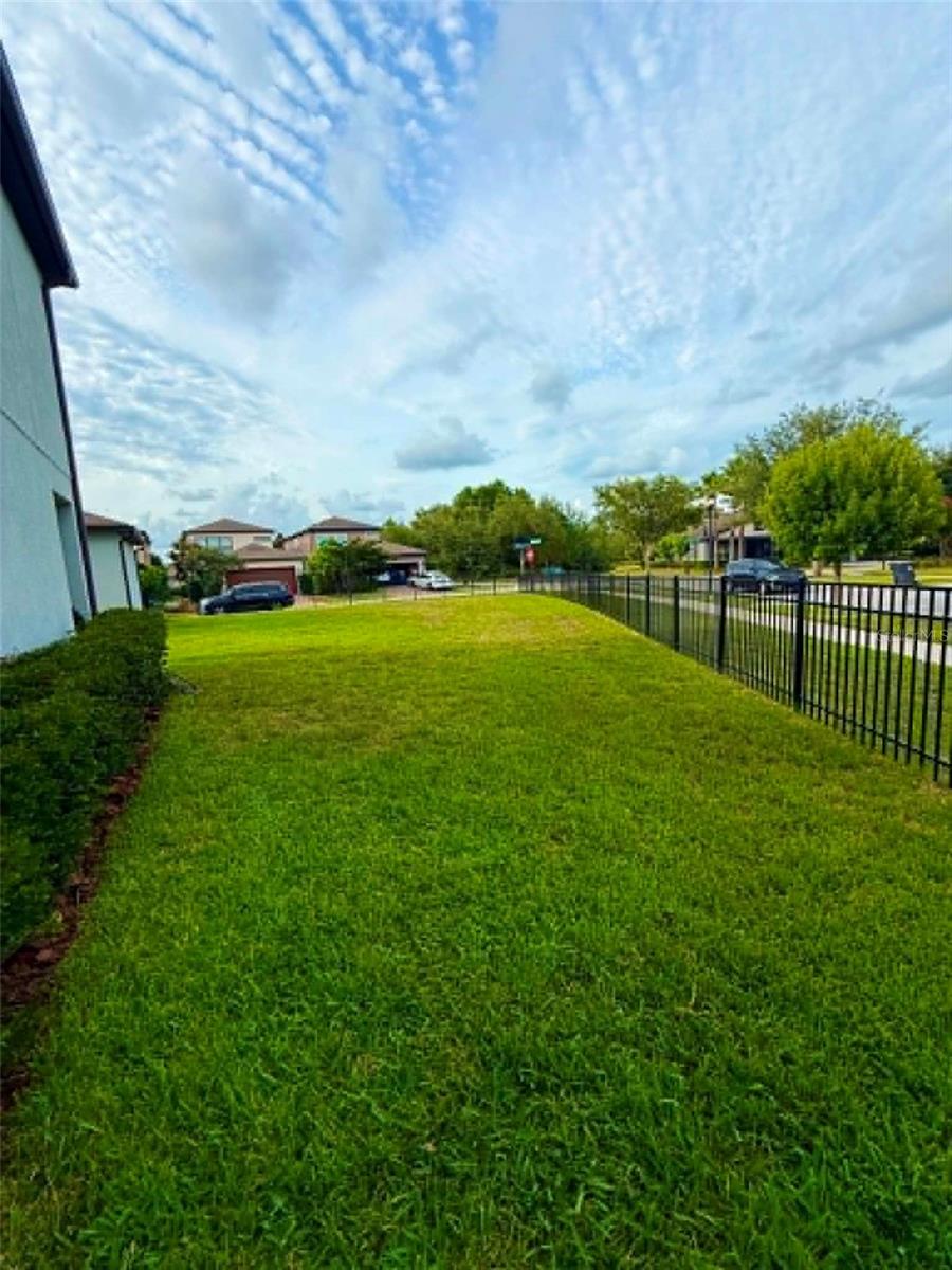 Side yard