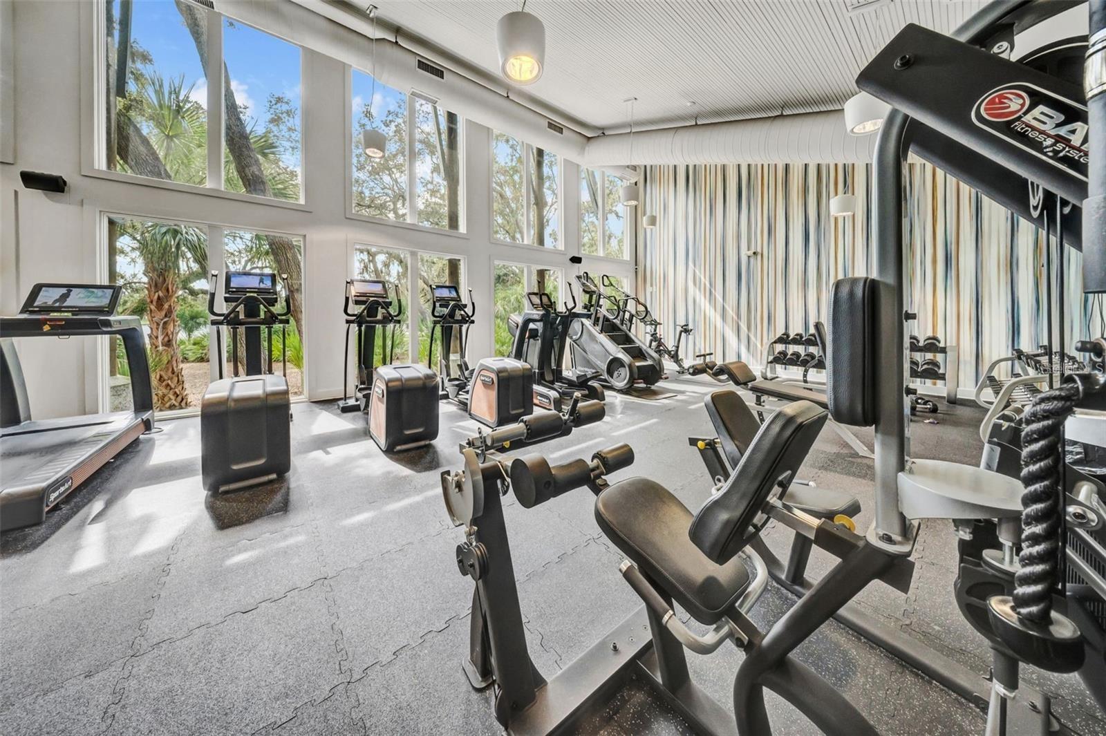 Gym