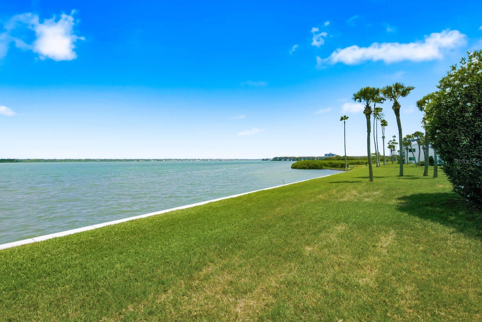Green space for backyard fun on intracoastal
