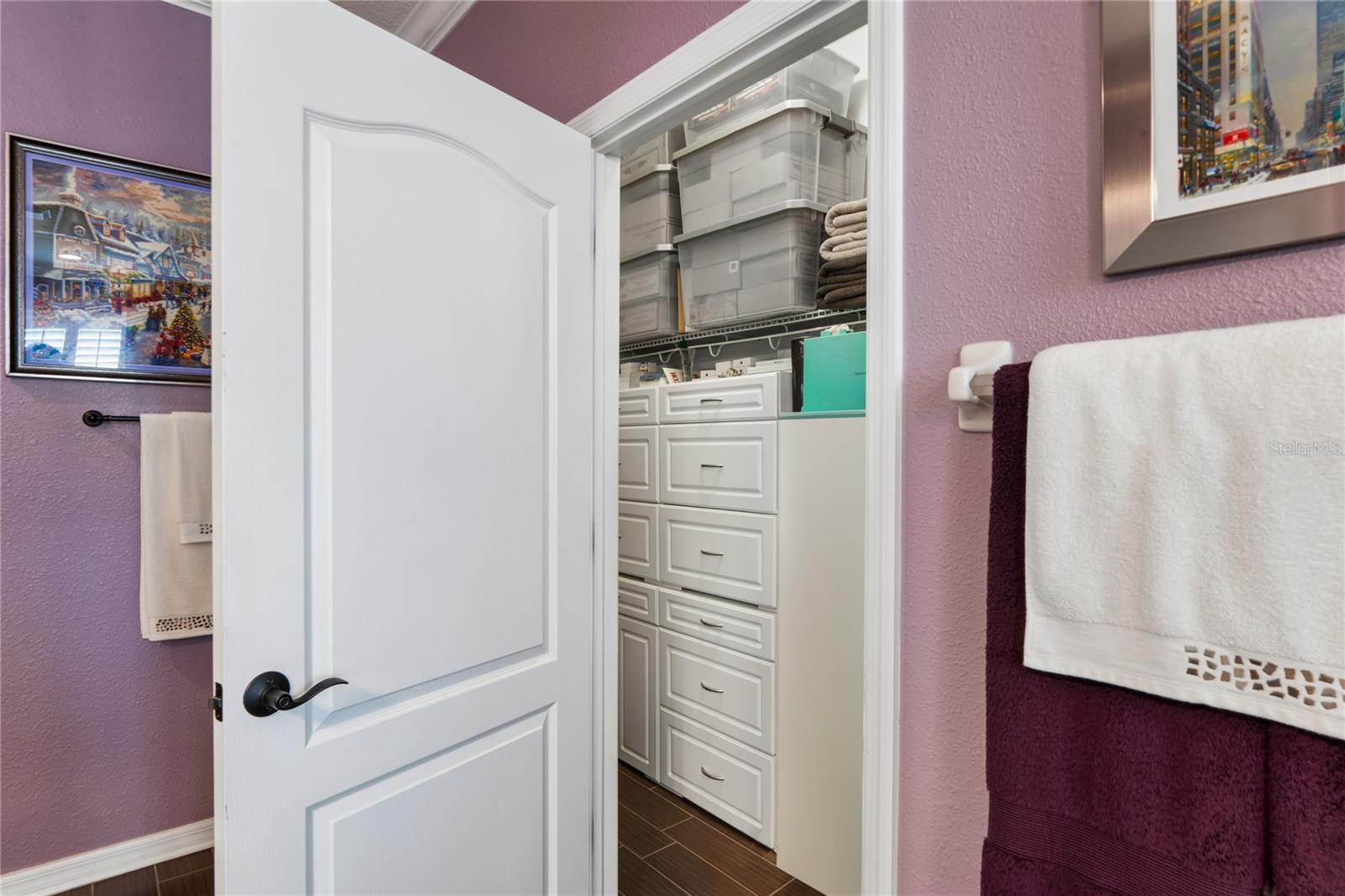 Second Large Closet in the Primary Bedroom En Suite
