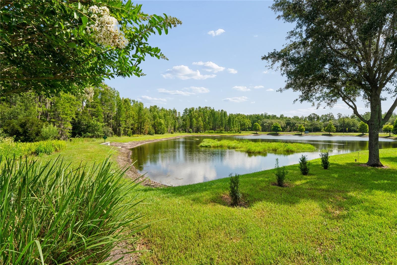 Spectacular Pond and Conservation View From the Backyard at 21627 Pearl Crescent Ct.