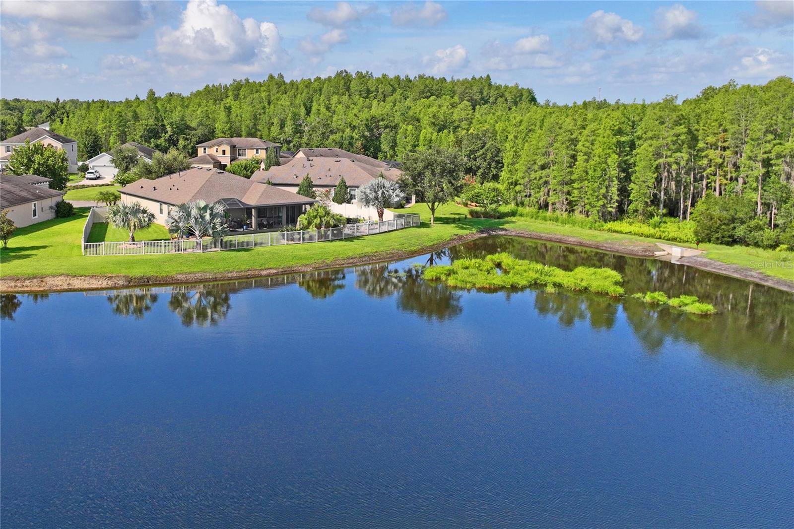 Large Fishing Pond Behind Pearl Crescent Ct.