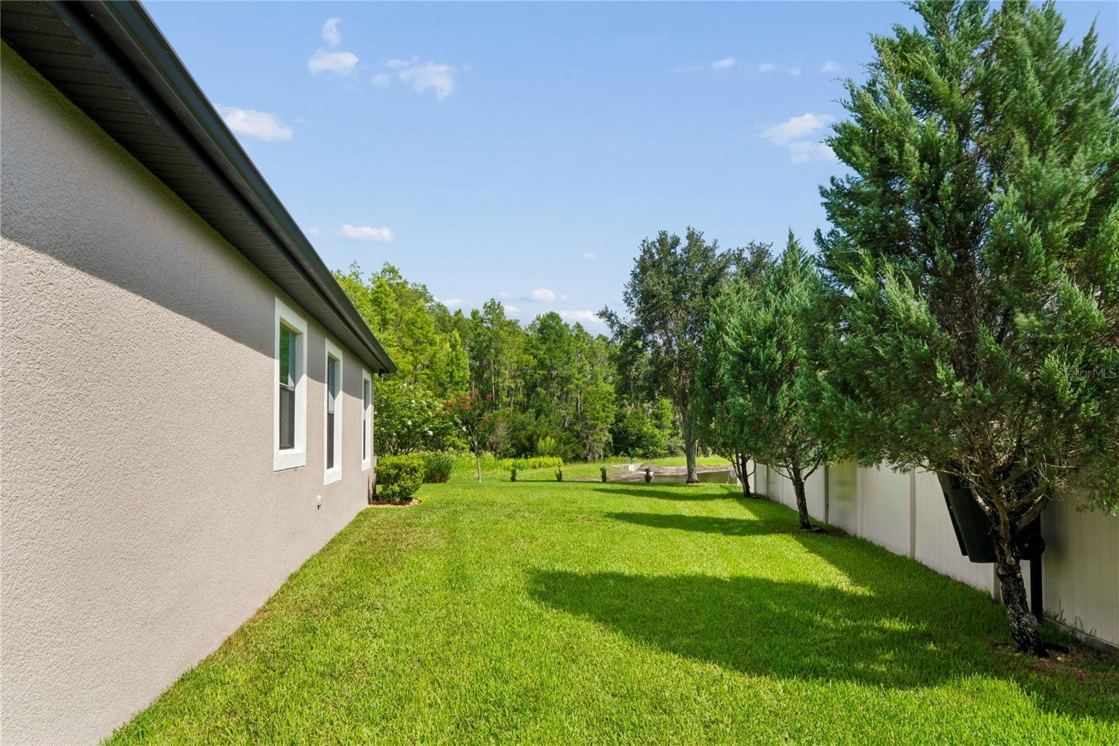 Side Yard