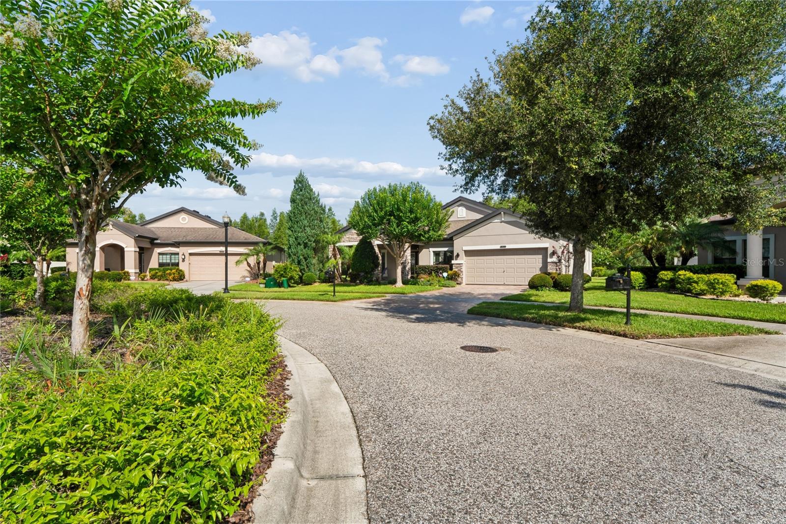 Street View of the Cul-de-Sac on Pearl Crescent Ct.