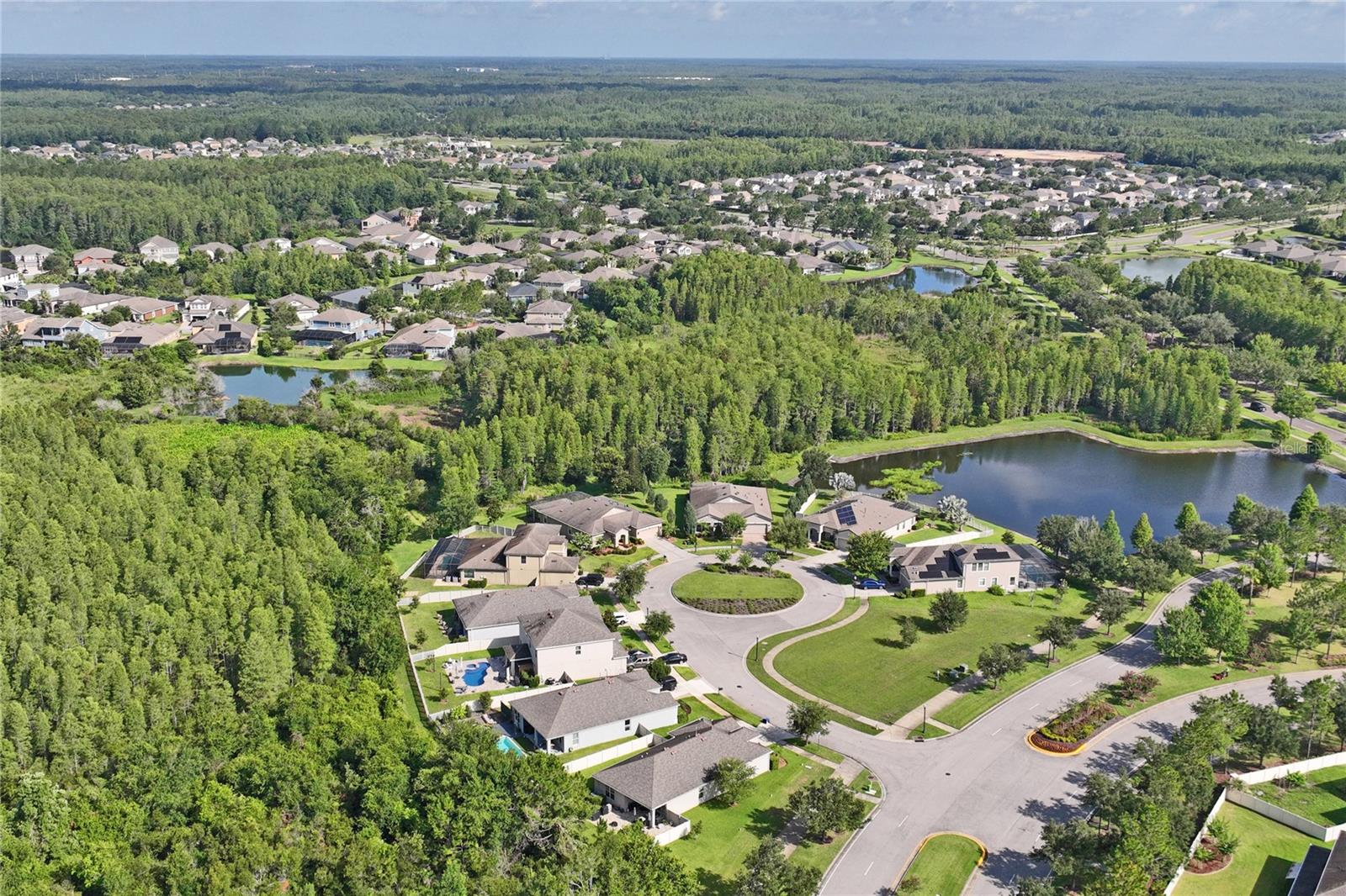 Conservation and Pond View from Pearl Crescent Ct.