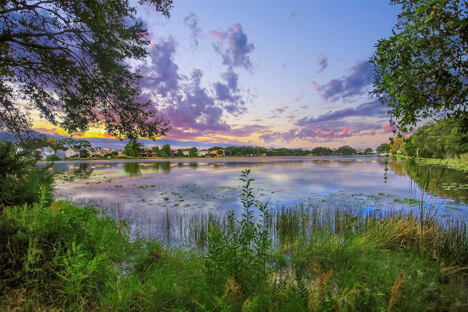 Community Pond