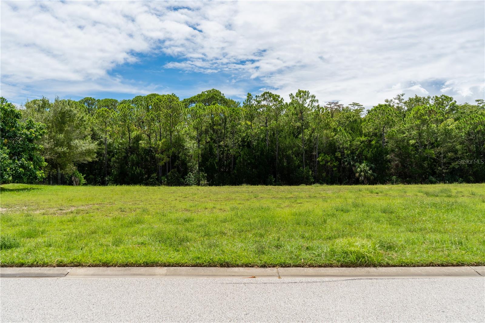 Front of lot on Jewfish Dr.