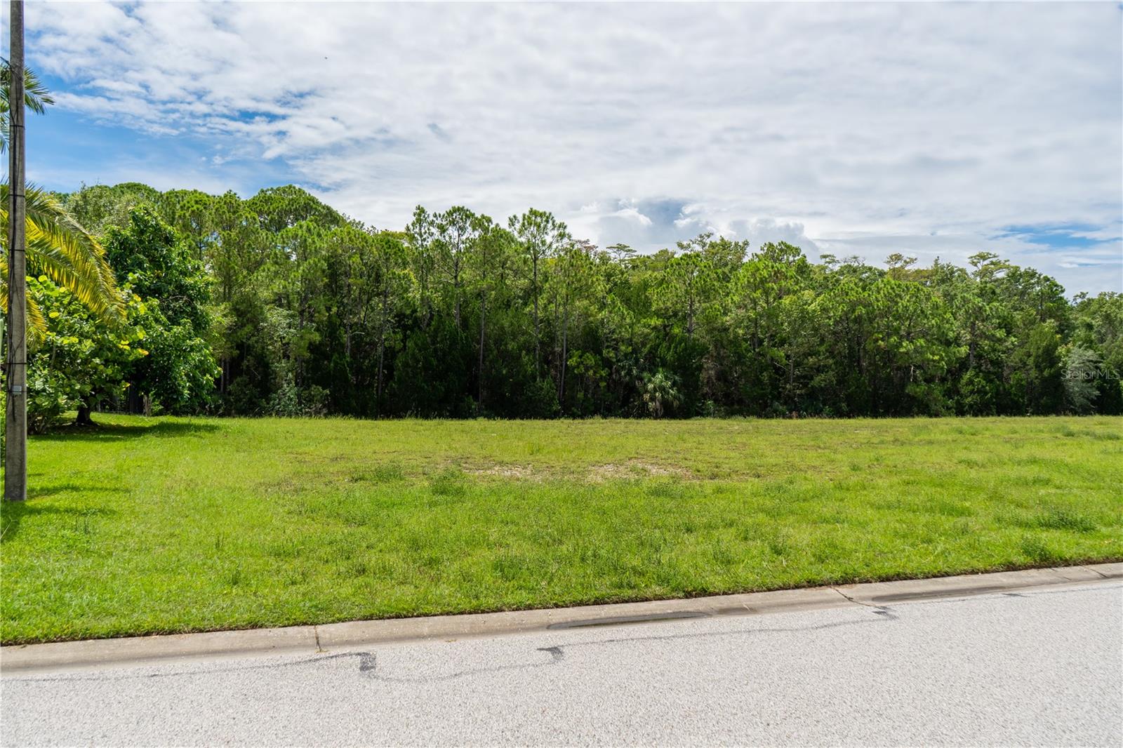 Front of lot on Jewfish Dr.
