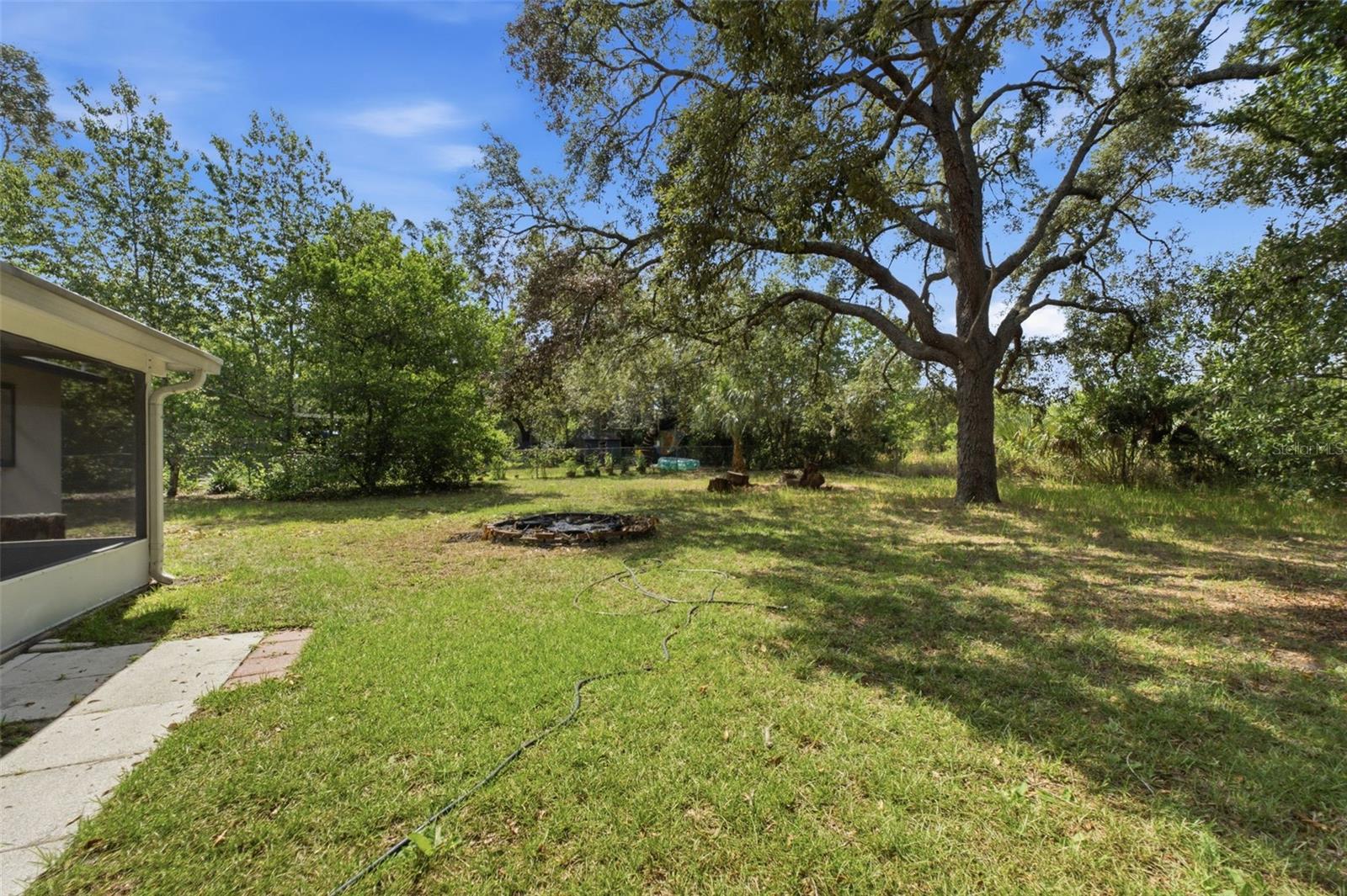 Backyard