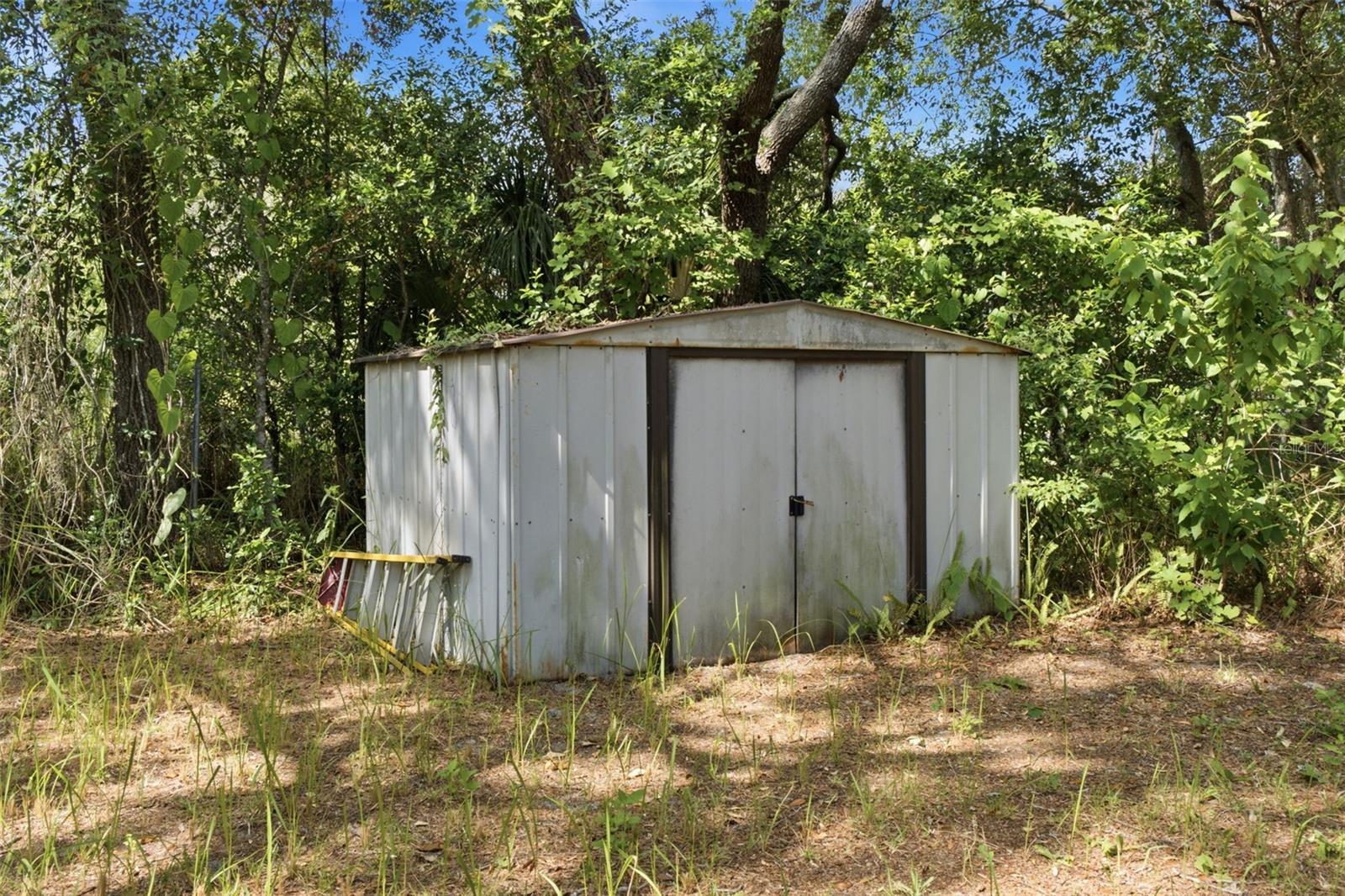 shed