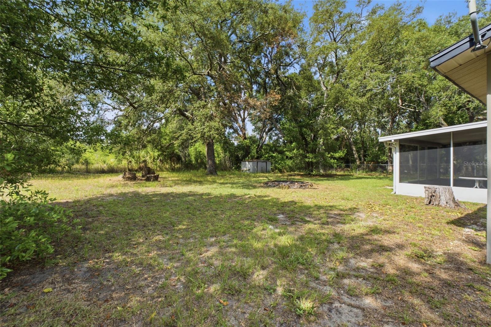 Backyard