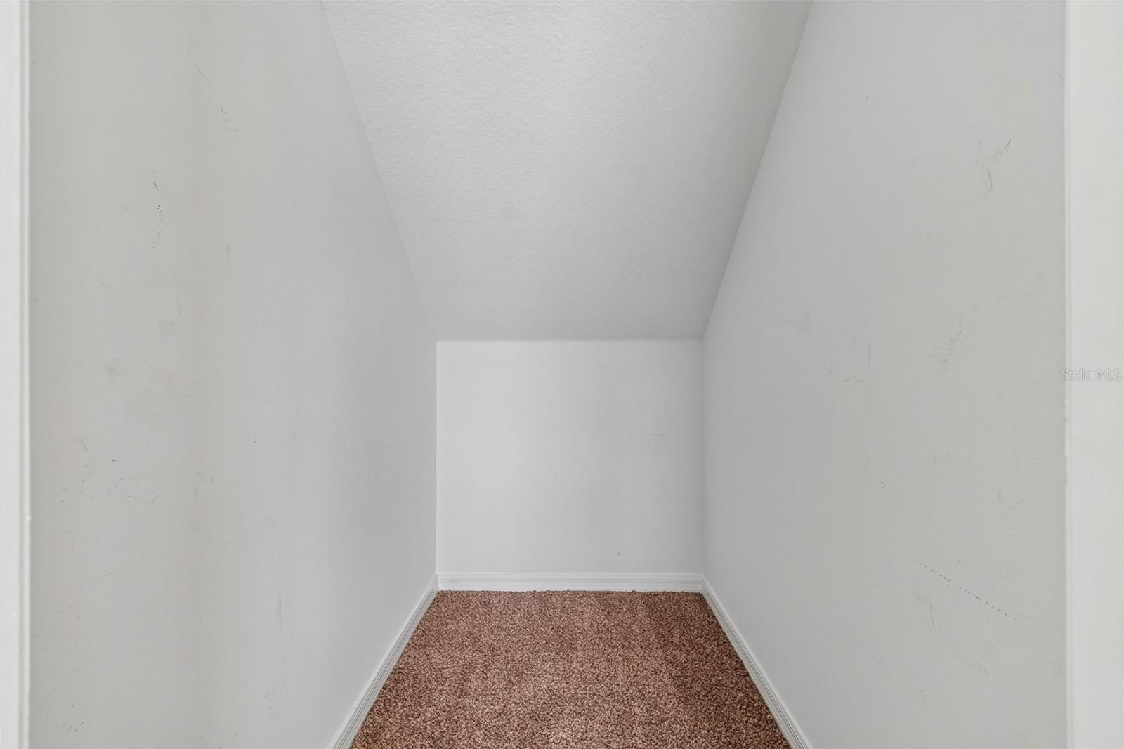 Storage under stairs