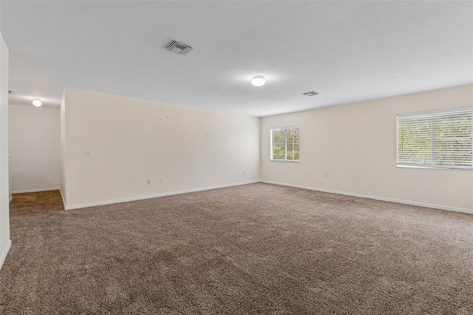 Huge Bonus/Media Room