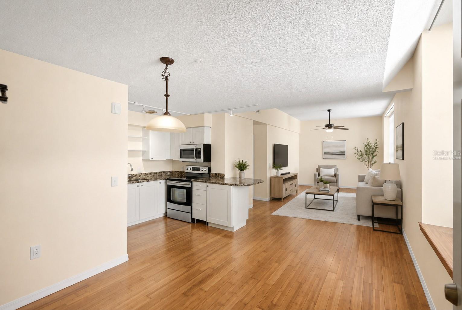 Entry into the condo - VIRTUALLY STAGED